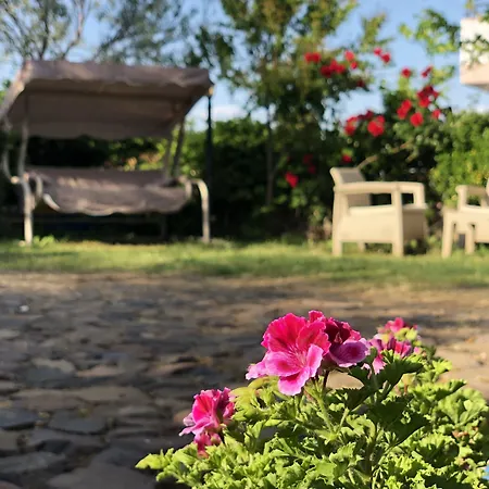 Hotel Sevinc
