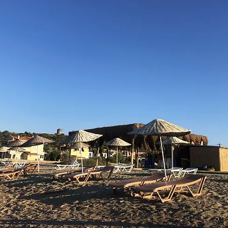 Sevinc Ayvalı
