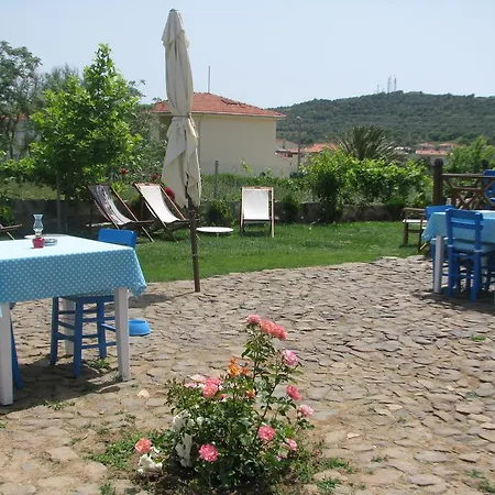 Sevinc * Ayvalı